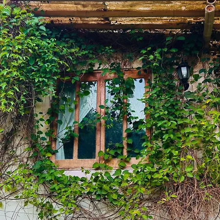 Cabanas Mannan Tanchachín Exterior foto